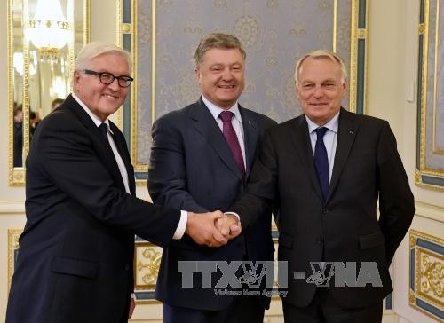 Ukrainische Regierung stimmt der Waffenruhe für die Ostukraine zu - ảnh 1